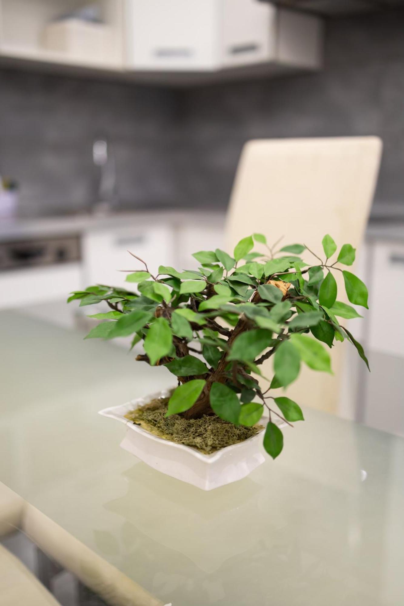 Fonix Apartman デブレツェン エクステリア 写真